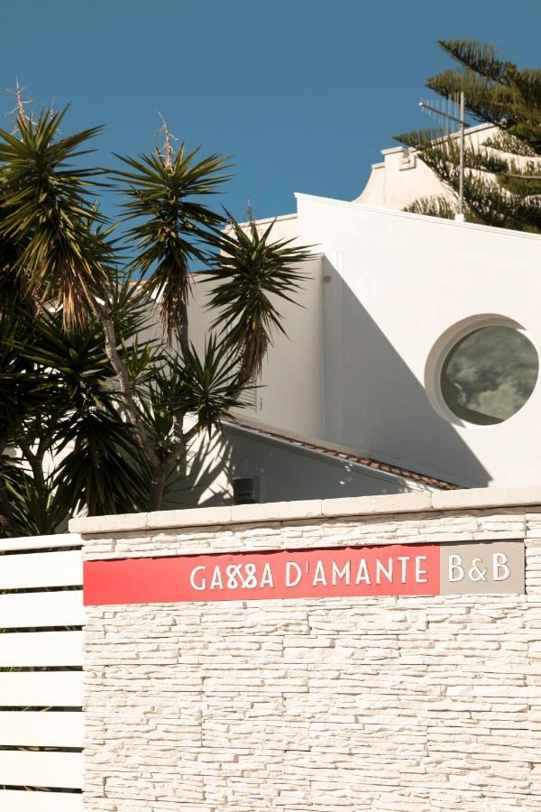 B&B Gassa D'Amante ヴィエステ エクステリア 写真